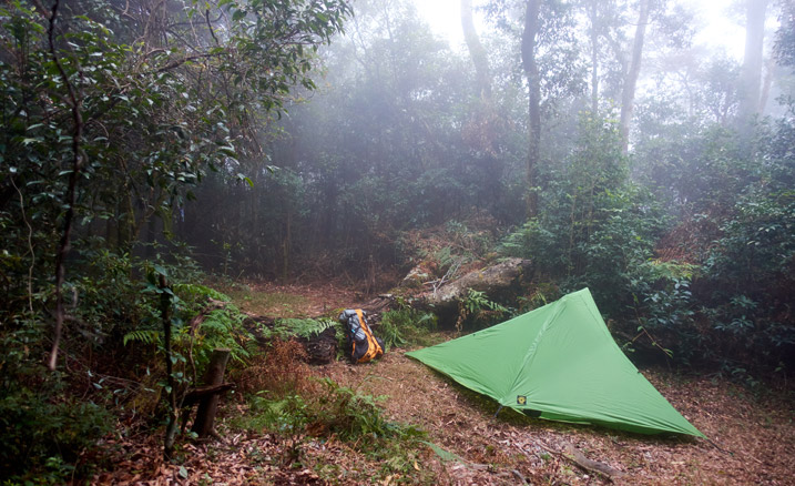 Campsite with green tent and backpack against fallen tree