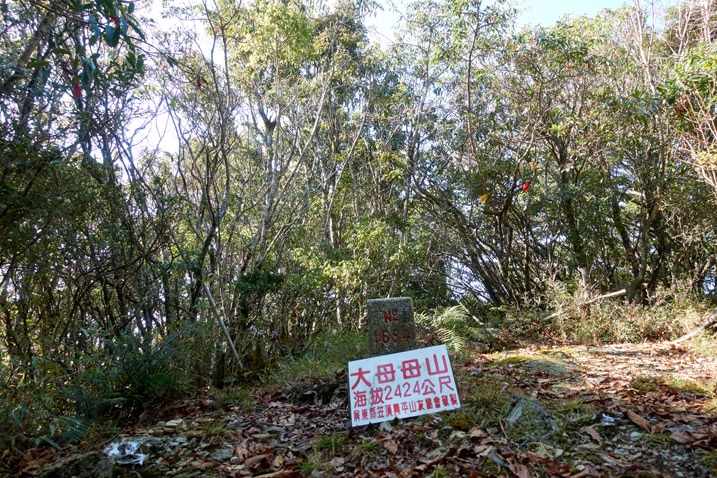Damumushan 大母母山 peak - triangulation stone and sign