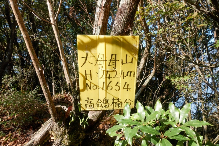 Yellow sign with Chinese attached to tree