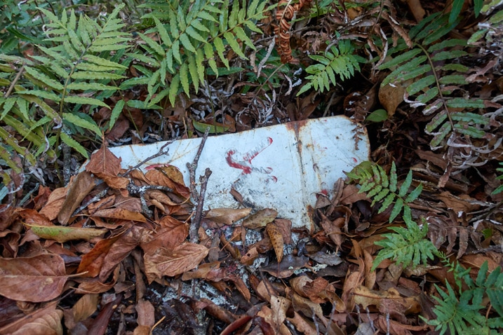 Old metal sign under leaves - almost unreadable