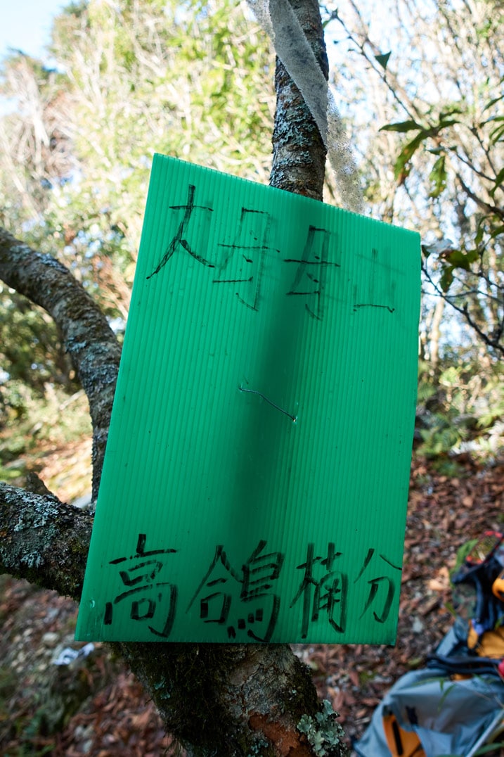 Green sign attached to tree with Chinese writing on it