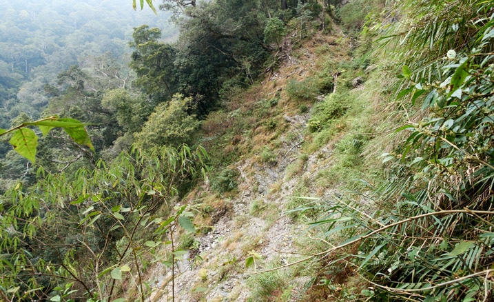 Steep mountainside trail