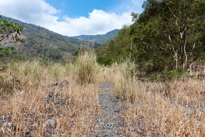 Trail through tall, dead grass - mountains in background