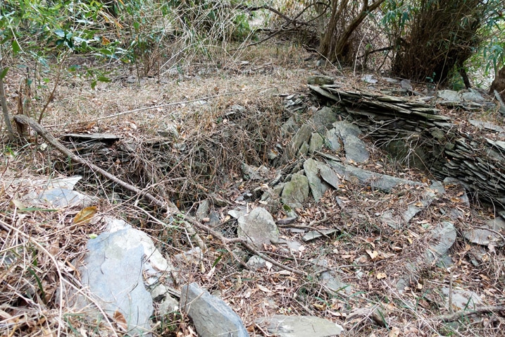 Stones stacked as base of some old structure - trees and vines all around