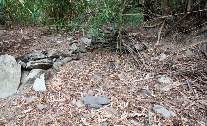 Stones stacked as base of some old structure - trees and vines all around