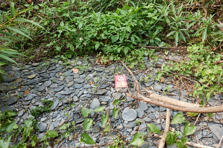 Tea box discarded on riverbed