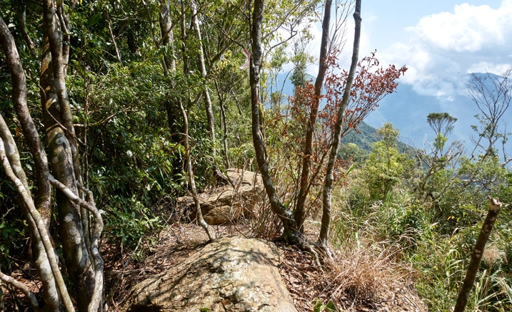 Ridge trail with stones and trees