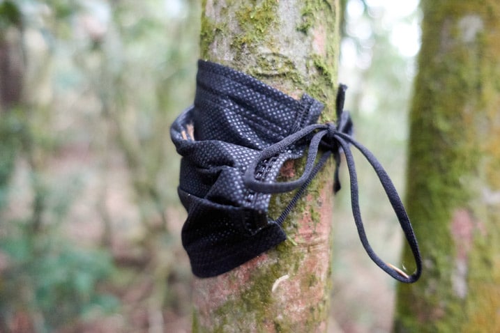 Black mask tied to small tree