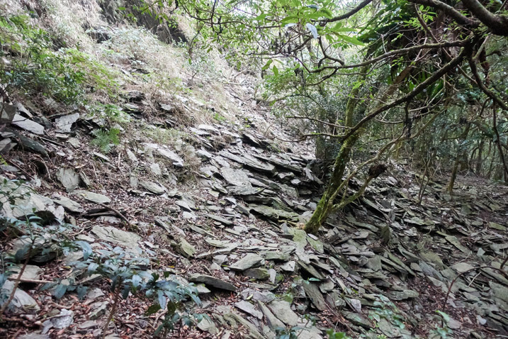 Lots of flat stones that have fallen from mountainside - looks like scree but isn't 