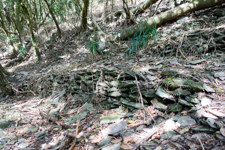Closeup of many stacked stones along an old path - many trees mixed in