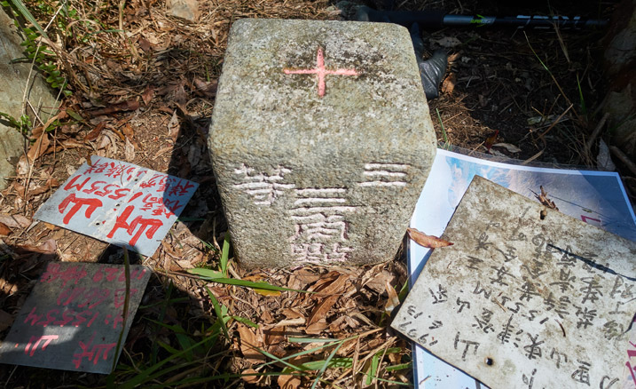 Triangulation stone with signs on either side