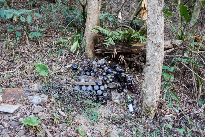 Many bottled jammed into mountainside - trees above and below