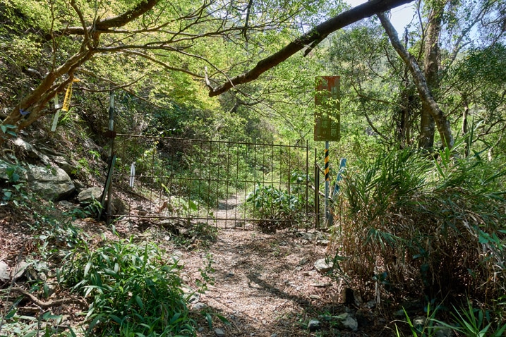 Dirt trail with gate blocking the path - trees and vegetation all around