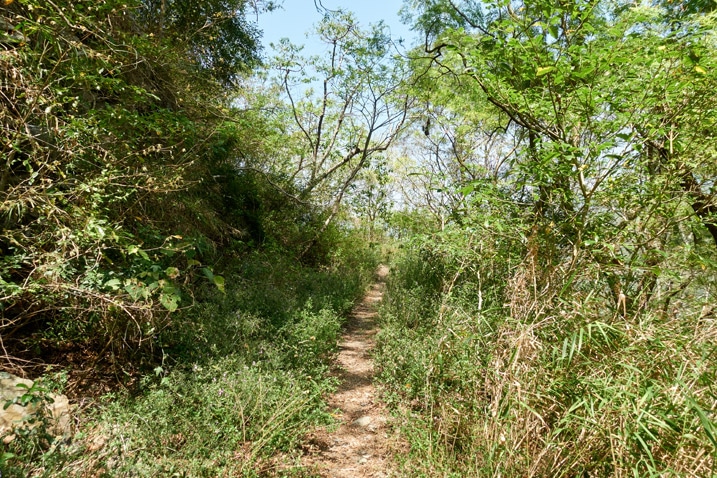 single-track mountain trail