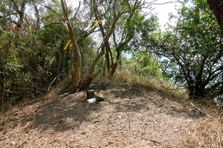 Open area with triangulation stone and small signs - trees in background - ZhuoDiLuoLiuShan - 著地螺留山