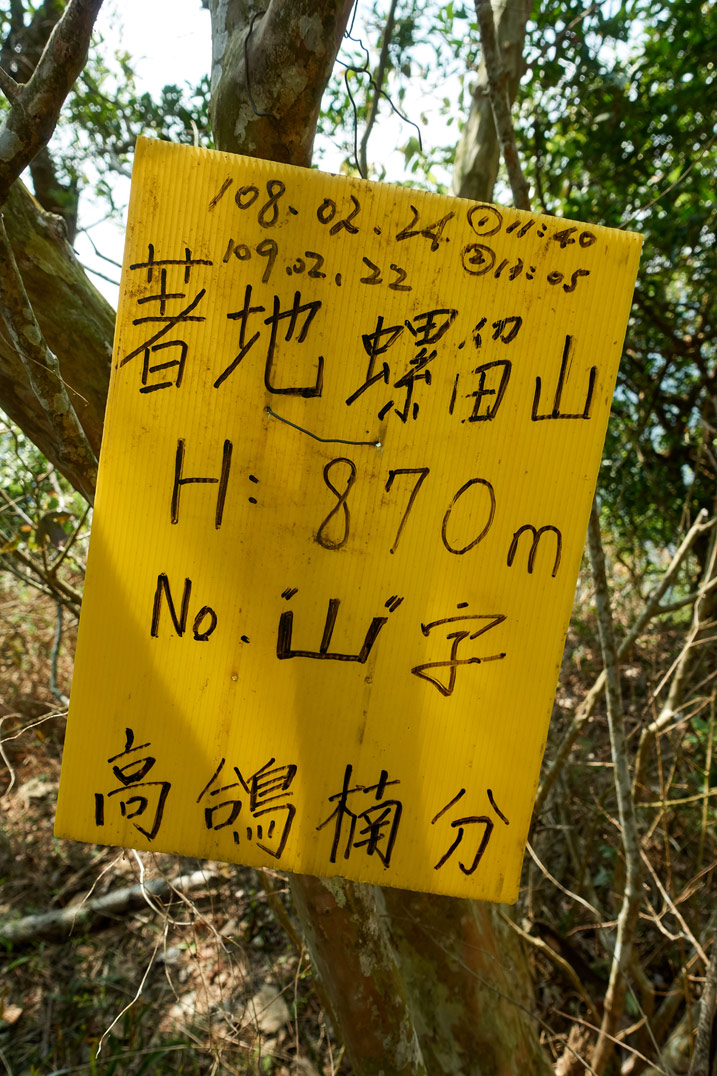 Yellow sign attached to tree with Chinese writing on it