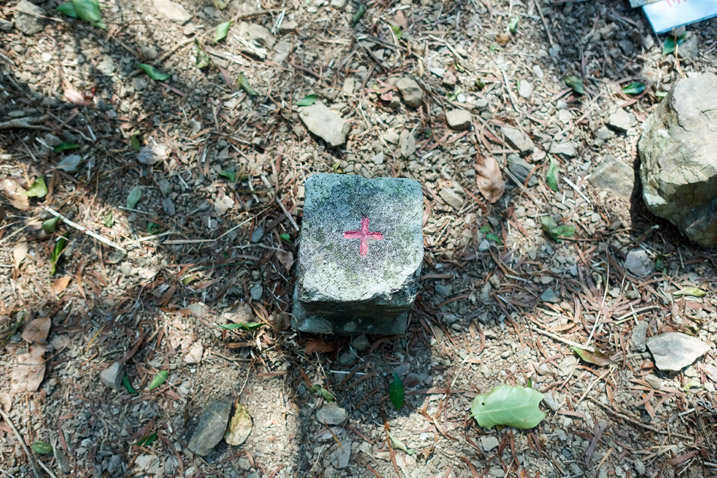 Looking down at a triangulation stone - a red 'cross' on top
