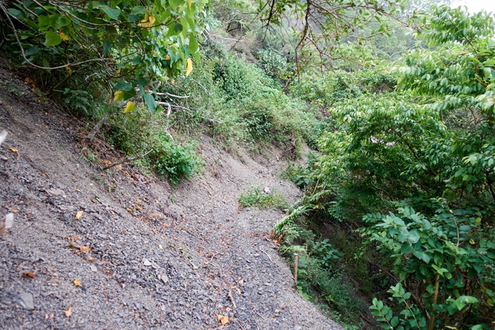 Trail on side of mountain over landslide