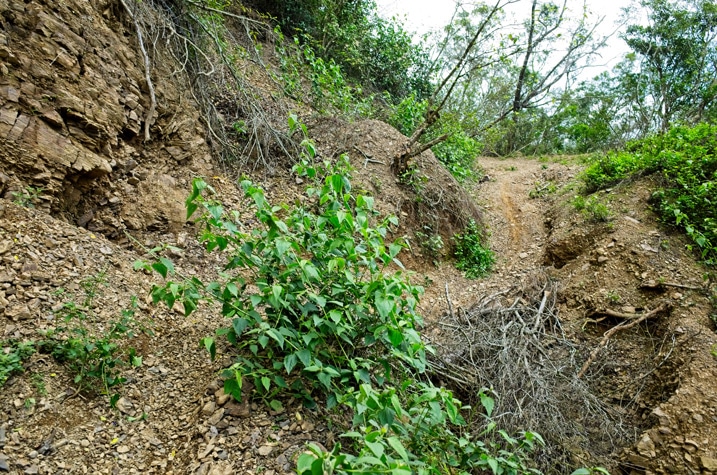 Dirt trail zig-zagging up a mountain