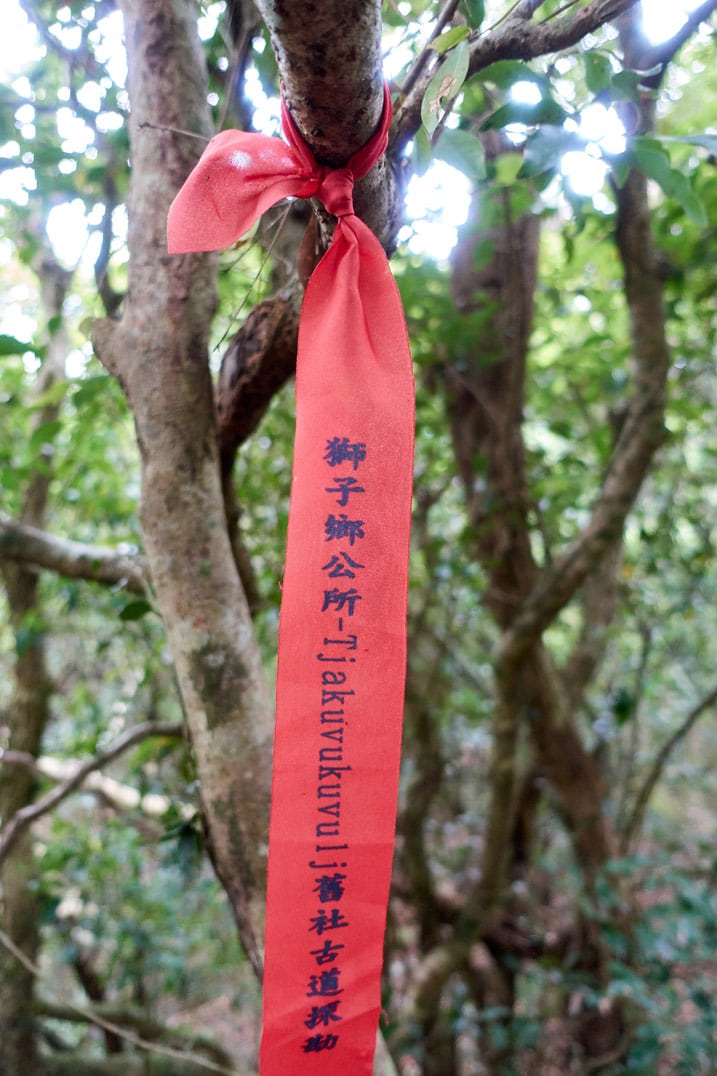 Red ribbon with Chinese and Paiwan writing tied to a tree