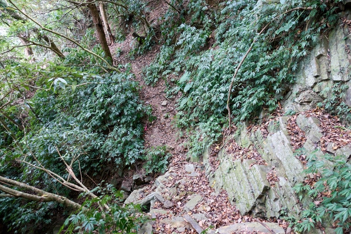 Mountain trail - rocky in beginning - vegetation on either side
