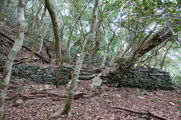 Many stones stacked to form a structure - more stones stacked in front to make stairs and wall - many trees