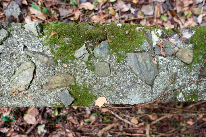Closeup of old concrete wall - moss on top