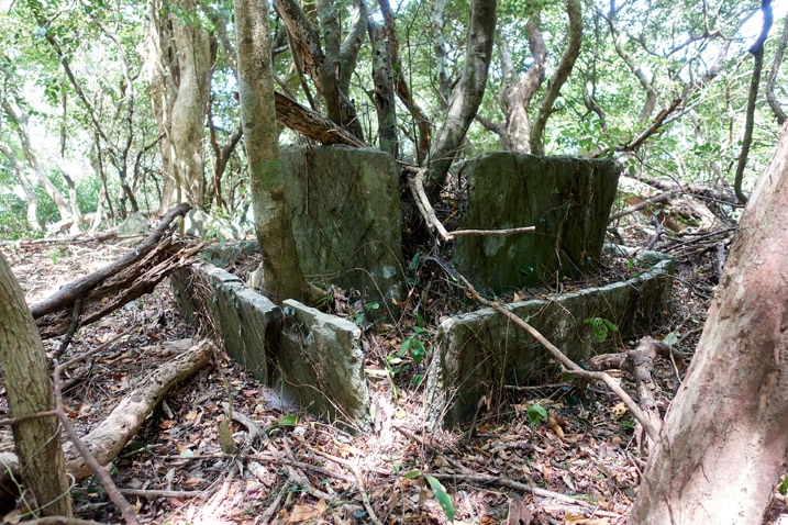 Many thin large stones laid out to form a sort of square - trees growing around