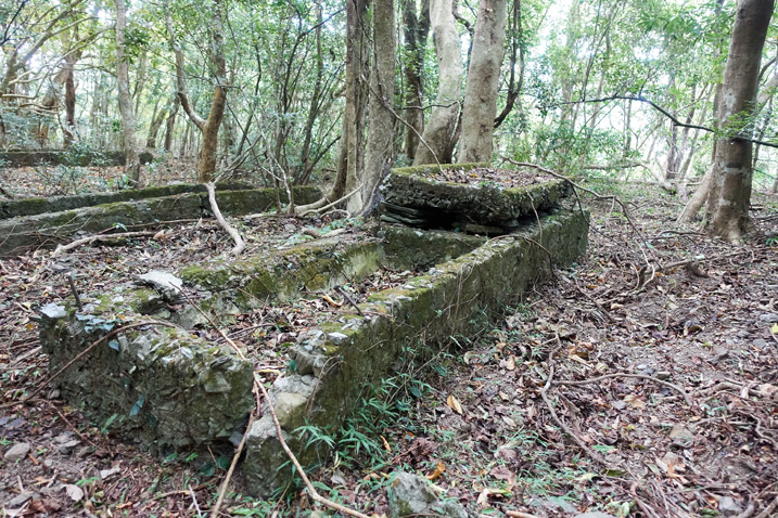 Rectangular structure made of old concrete - many trees behind it