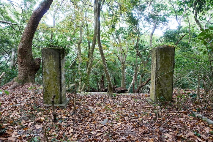 Two square pillars in mountain forest