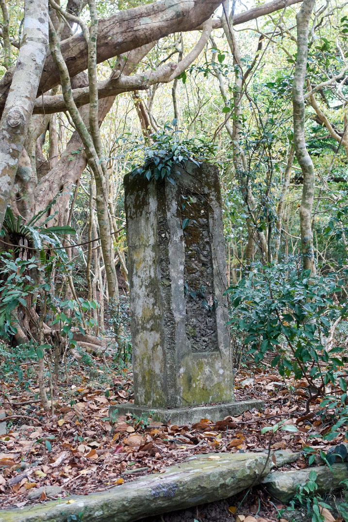 Stone pillar in mountain forest