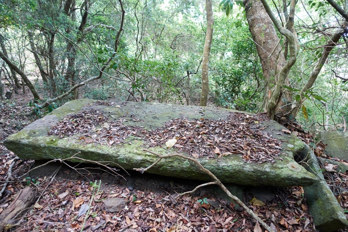 Large flat stone lying on the ground