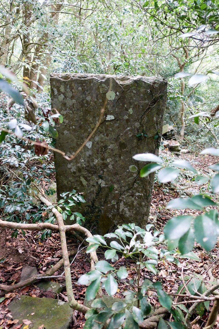 Large rectangular flat stone standing upright