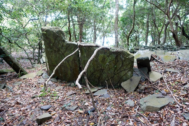 Large rectangular flat stone standing upright sideways