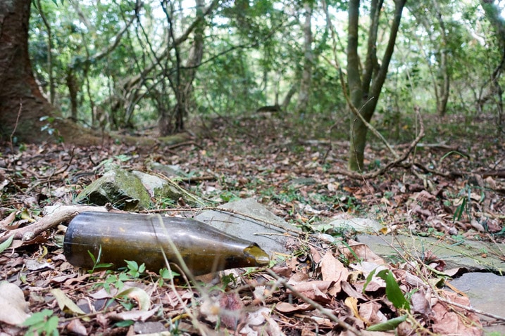 Broken brown bottle laying on ground - trees in background