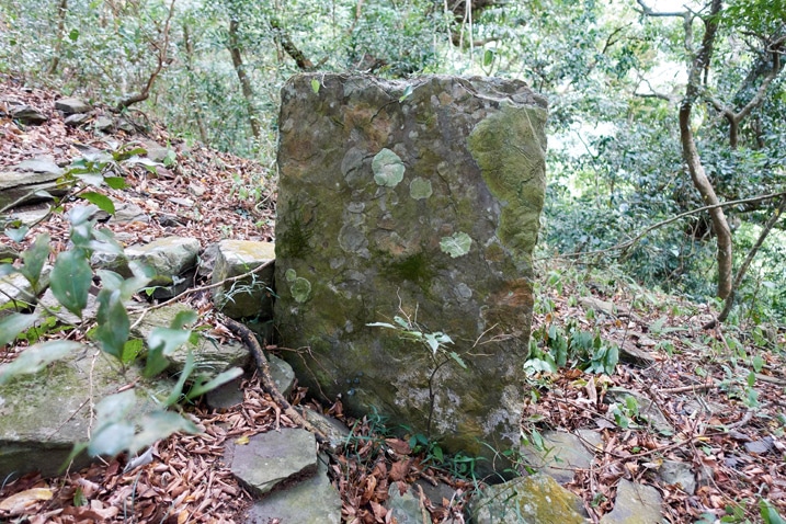 Large flat stone standing upright