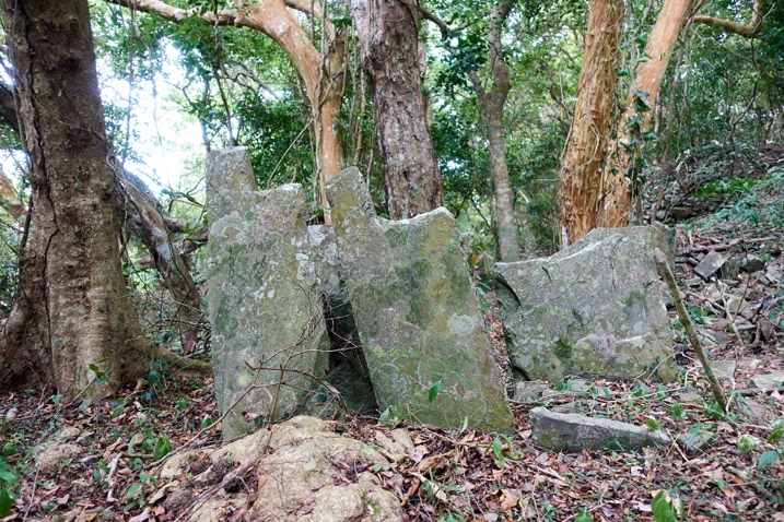 Several tall thin large stones standing upright - trees behind them