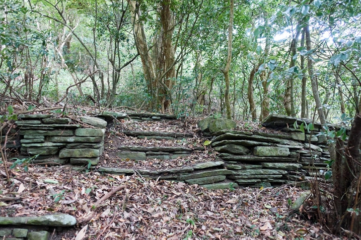 Stone stairs and wall - trees behind them