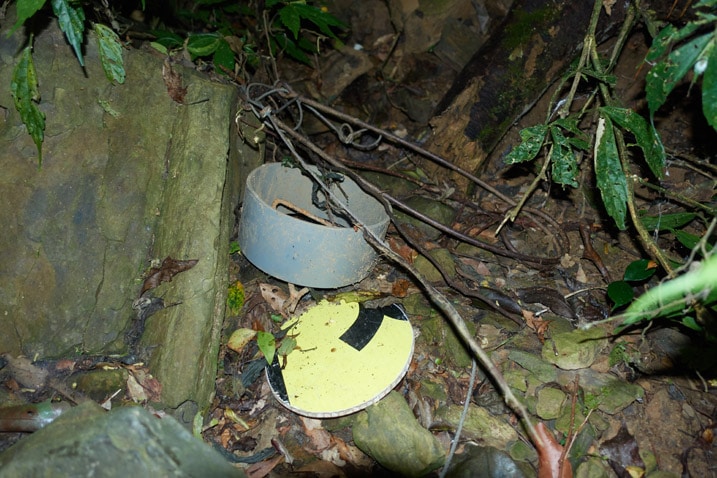 Several parts of an animal snare trap lying on ground