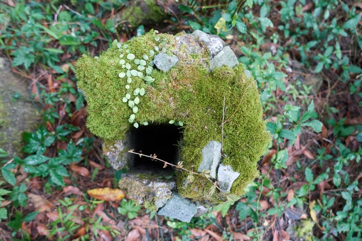 Looking down at a moss-covered concrete object