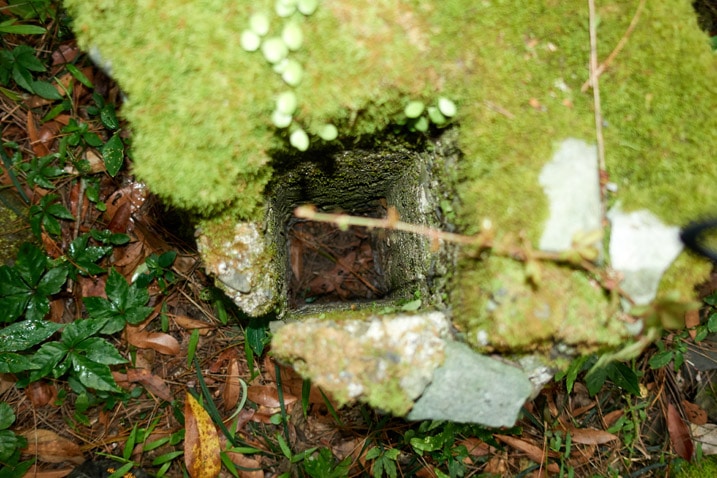 Looking into a square opening of moss-covered concrete object
