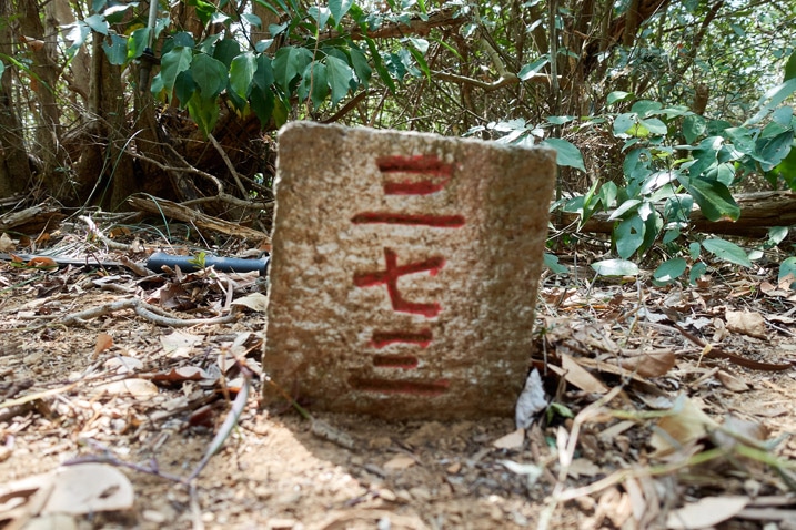 Blurry picture of triangulation stone for Fangyejushan - 枋野具山
