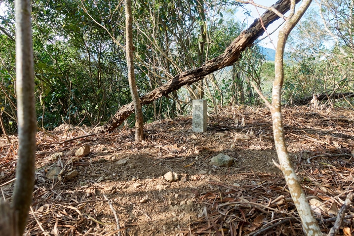 Stone marker sticking up out of ground - trees all over