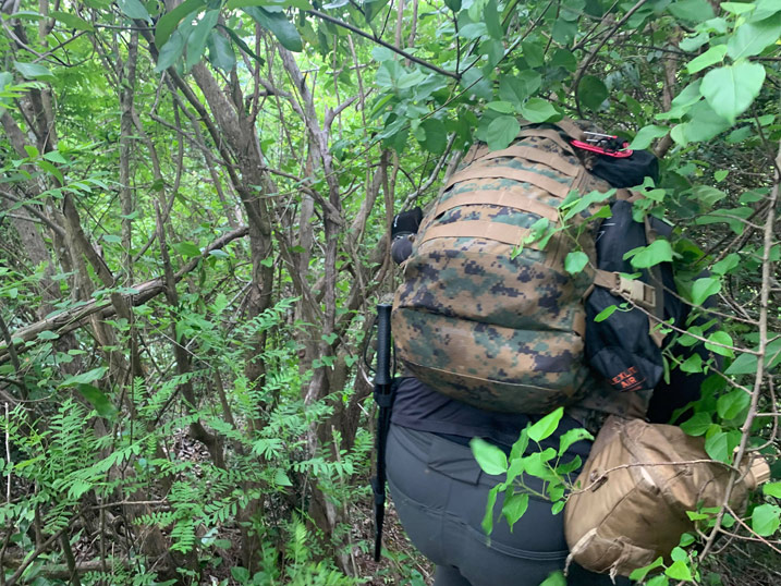 Man with camouflage backpack pushing through trees