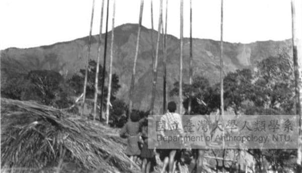 Black and white photo of Tjakuvukuvulj Village a long time ago - mountain in distance - people holding up long poles