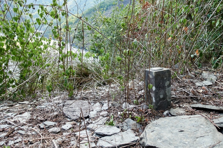 Square triangulation-like stone in the ground - vegetation and riverbed in background