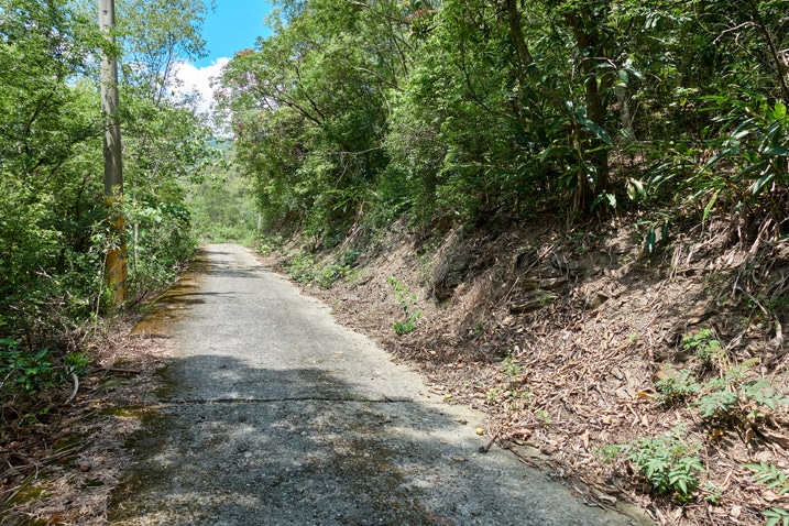 Paved mountain road - trees on either side - blue sky
