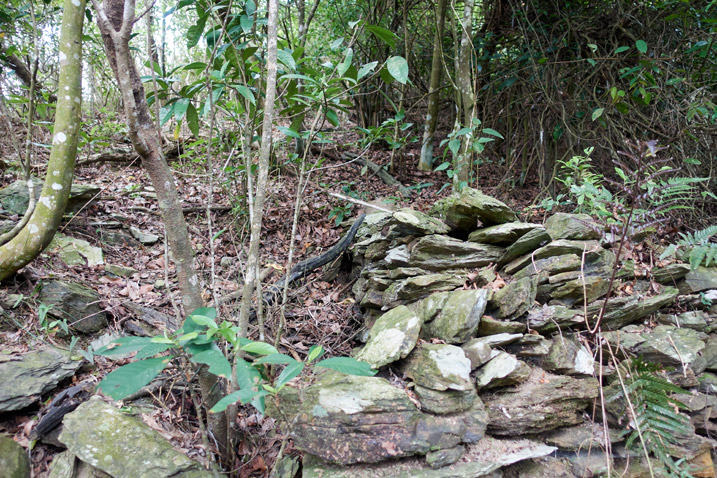 Many stacked stones on mountainside