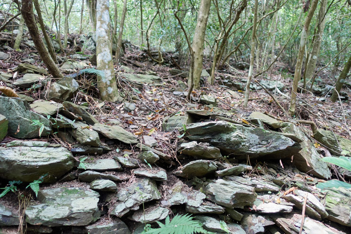 Stacked stones on mountainside with trees