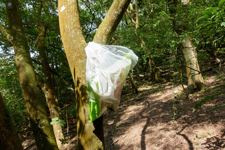 Plastic bag tied to tree with old crackers inside